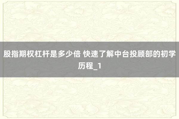 股指期权杠杆是多少倍 快速了解中台投顾部的初学历程_1